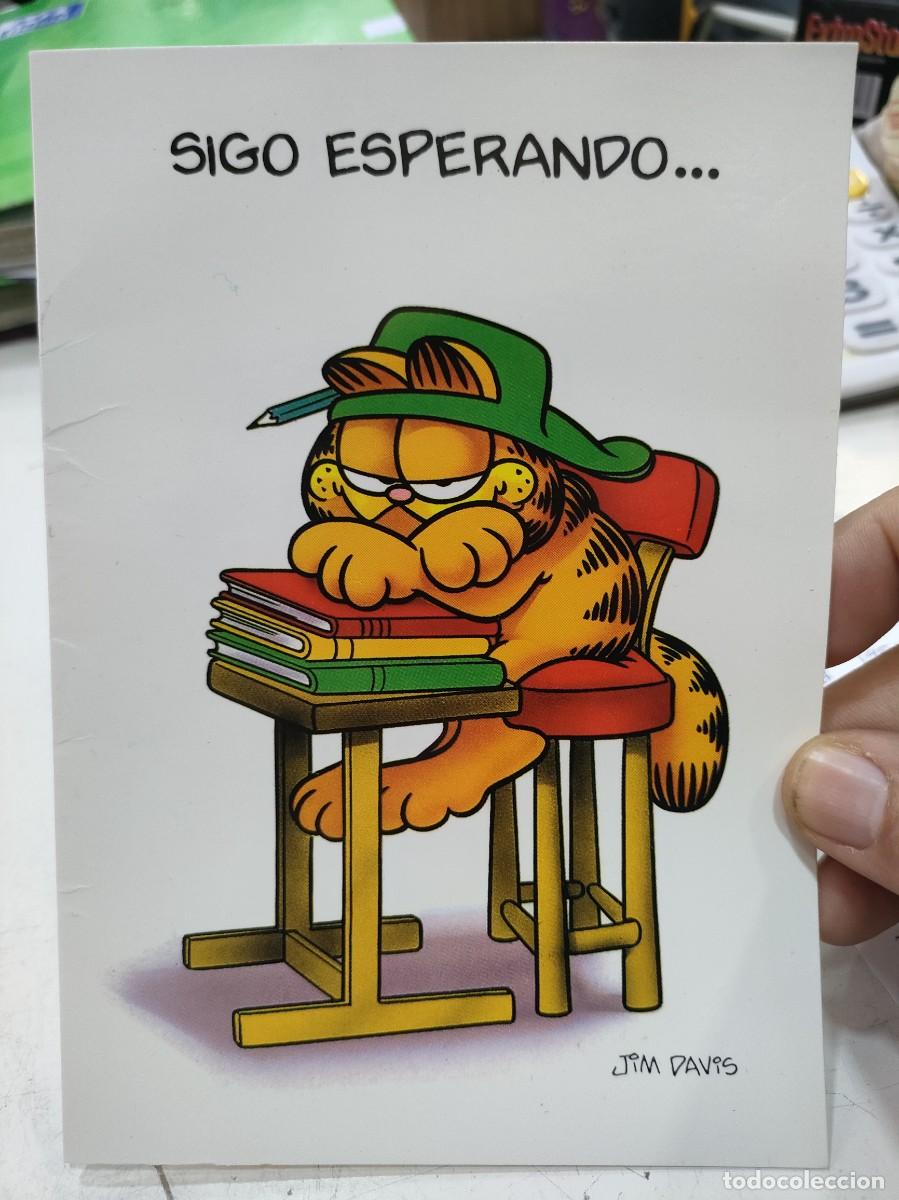 Postales: Felicitaci&oacute;n GARFIELD SC pel&iacute;n arrugada