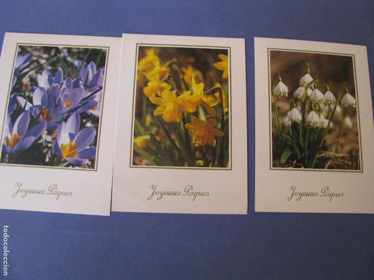 Postkarten: 3 POSTALES DE FLORES. OBPACHER VERLAG, ALEMANIA.