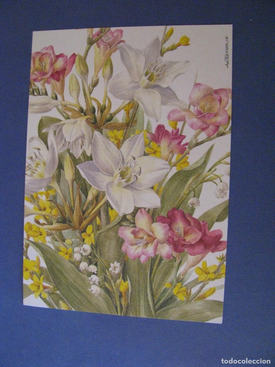 Postcards: POSTAL DE FLORES, ILUSTR. A. M. TRECHSLIN. SUIZA. 15X10 CM.