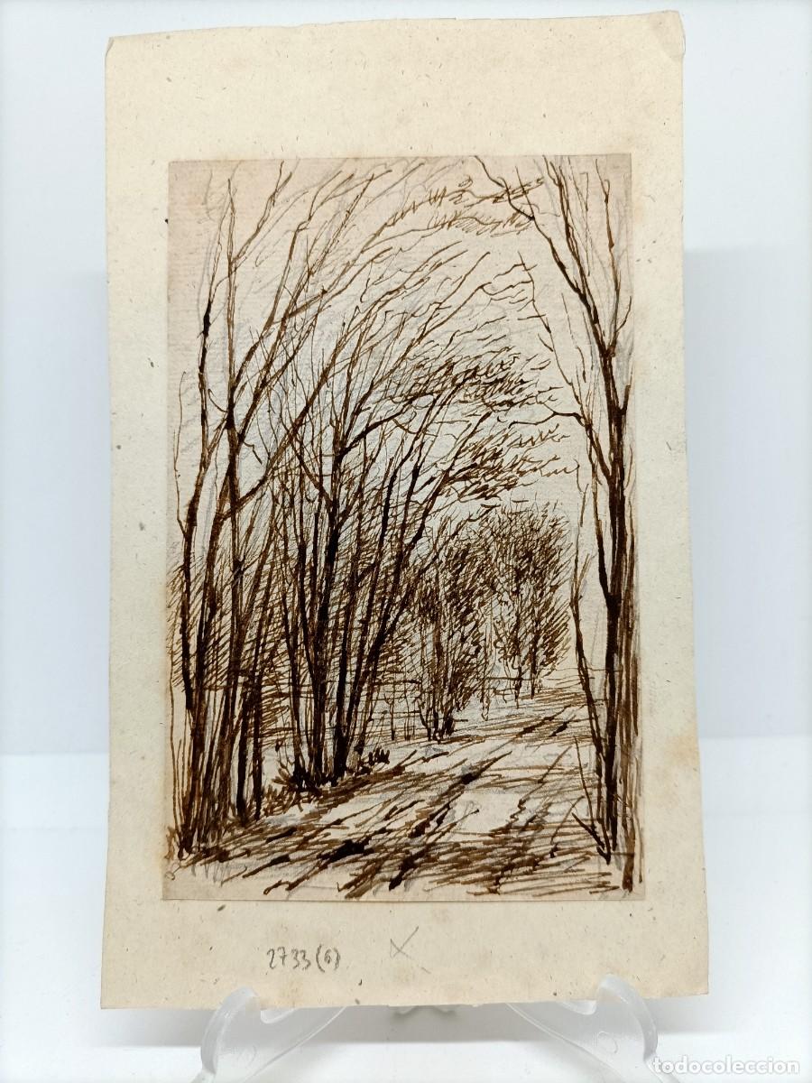 Postcards: Dibujo tinta china del XIX.