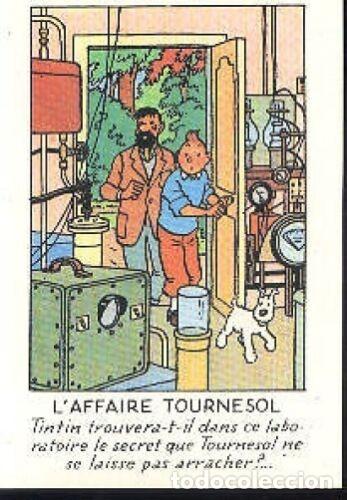 Coffret Collector Hergé – Tintin, Milou, Tournesol, Trésor De Rackham – Pixi, Numéroté Avec Certificat