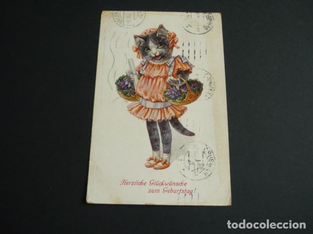 Cartoline: GATA CON FLORES POSTAL