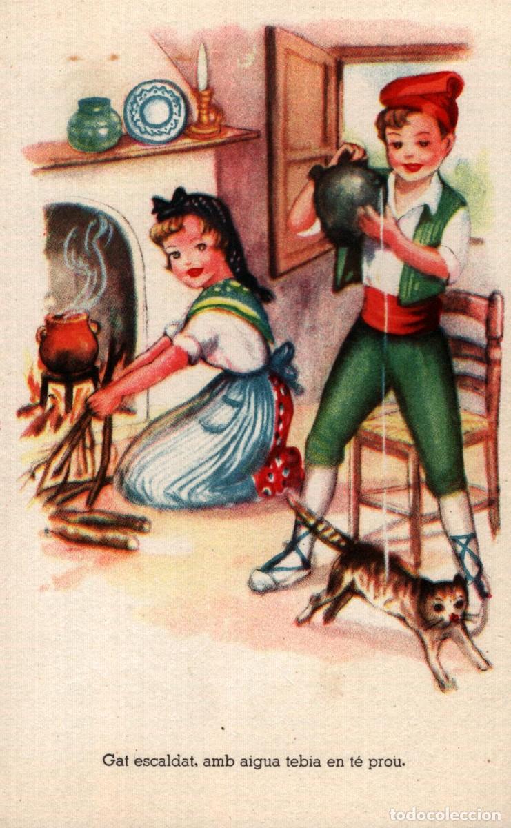 Postales: Gat escaldat amb aigua tebia en t&eacute; prou Adagis Populars ediciones de arte sin circular