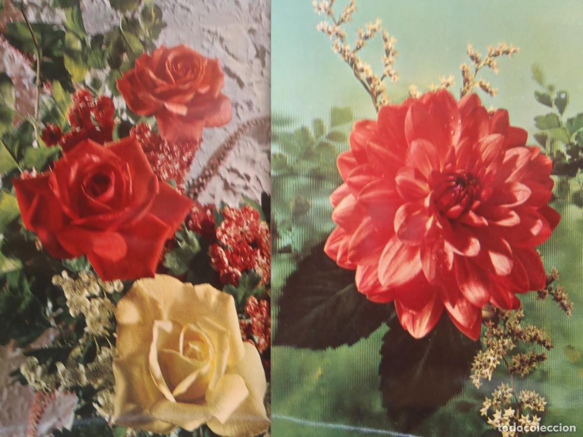 Postais: FLORES - LOTE DOS POSTALES