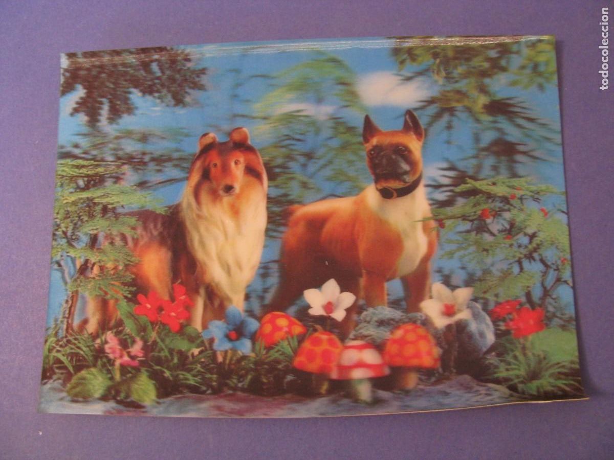 Postkarten: POSTAL LENTICULAR 3D. PERROS. TOPPAN. SUIZA. ESCRITA.