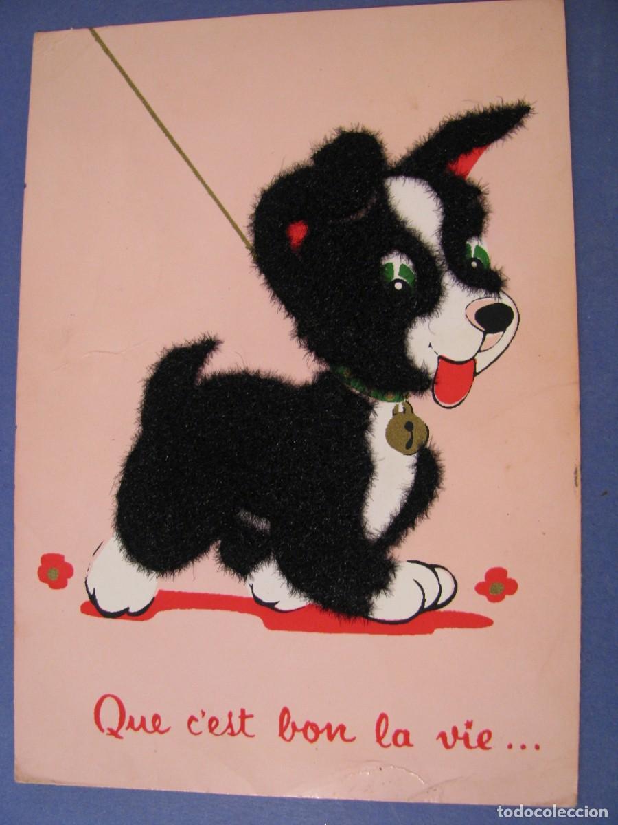 Postais: POSTAL DE FRANCIA. PERRITO. ED. E. S. FRANCIA. ESCRITA.