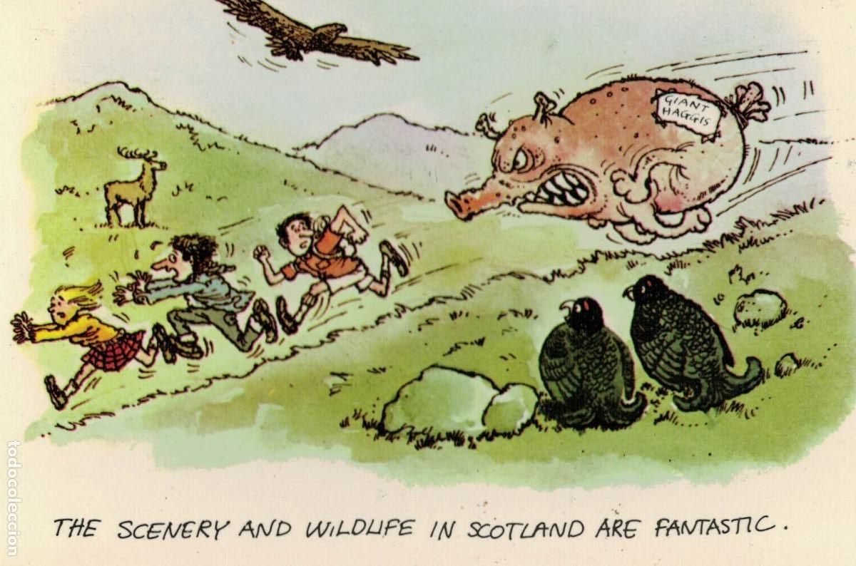 Postais: Giant Haggis / Scenery and Wildlife in Scotland are Fantastic