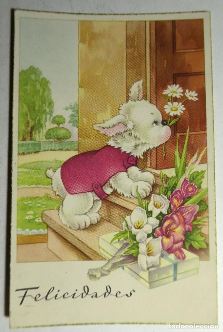 Postcards: POSTAL DE FELICIDADES - C.Y.Z. SERIE 542
