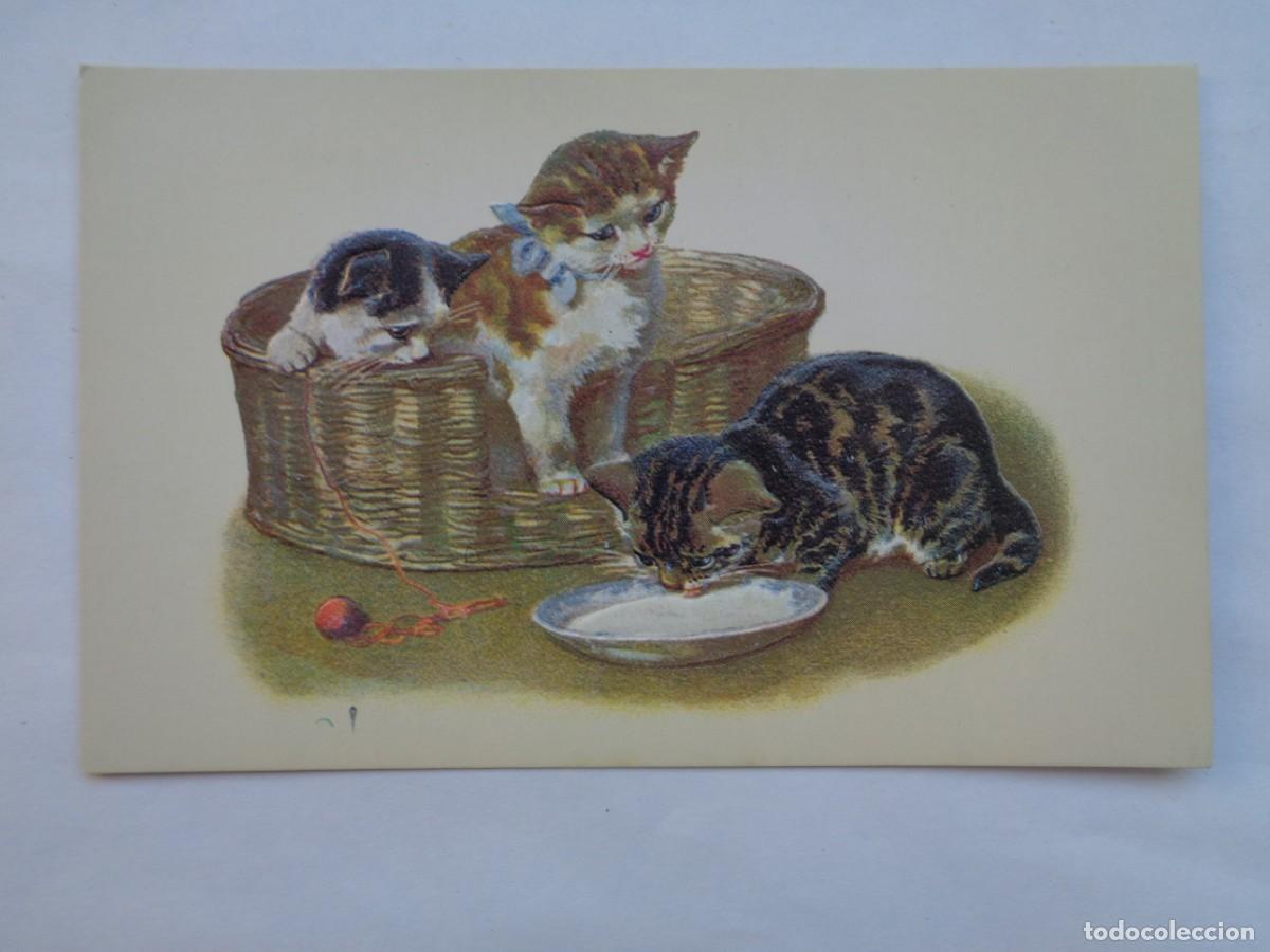 Postkarten: PRECIOSA POSTAL CON BONITO DIBUJO DE GATOS , EN RELIEVE . DE BALMES VIVES