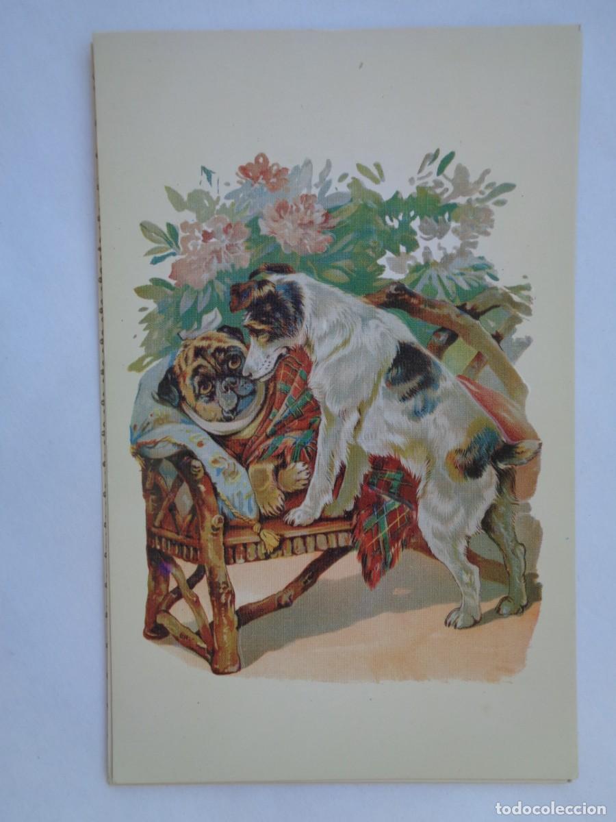Postais: PRECIOSA POSTAL CON BONITO DIBUJO DE PERROS EN RELIEVE . DE BALMES VIVES