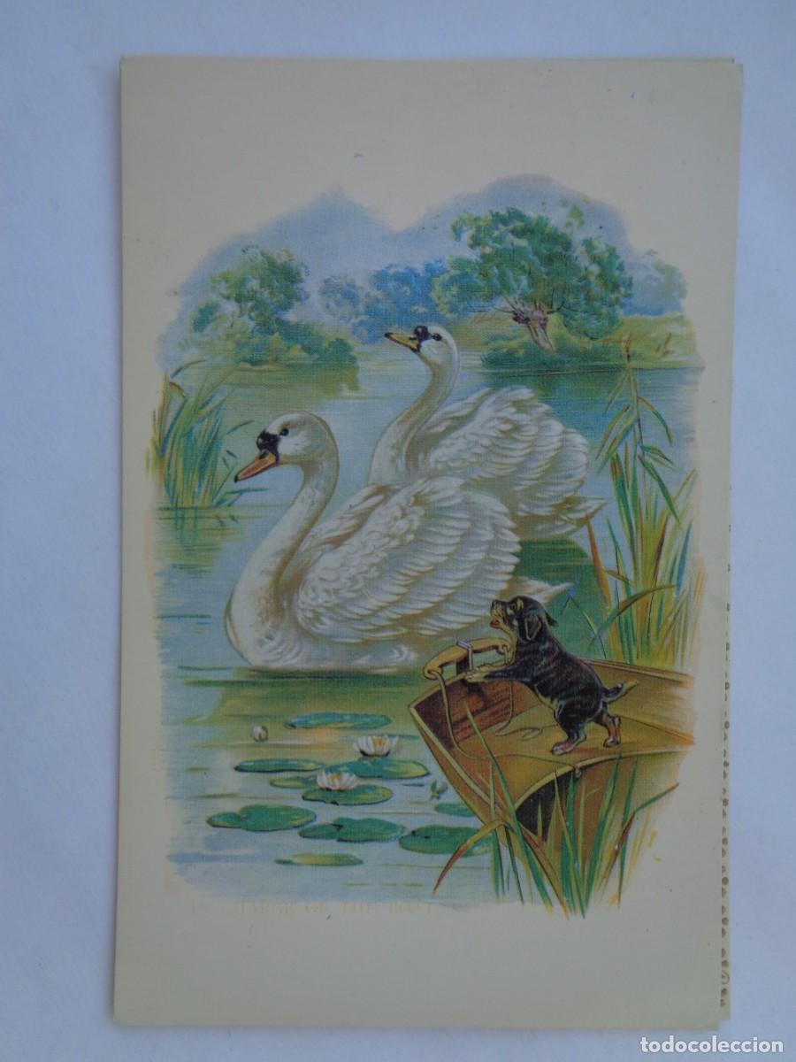 Postais: PRECIOSA POSTAL CON BONITO DIBUJO DE PERRO Y CISNES EN RELIEVE . DE BALMES VIVES