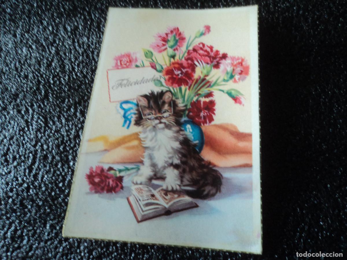 Postais: tarjeta felicidades gato y flores 400/3, circulada 1955