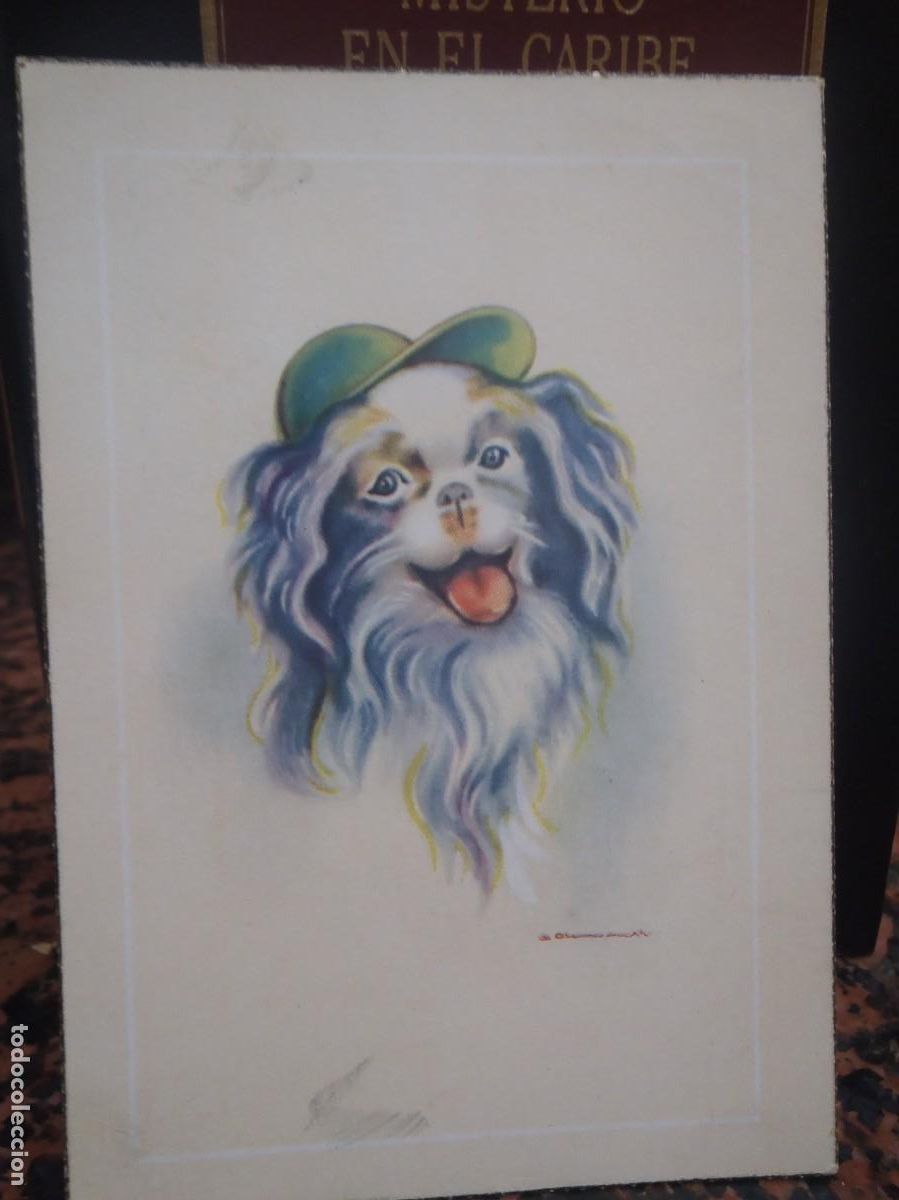 Postales: PERRITO CON GORRA - Foto 1