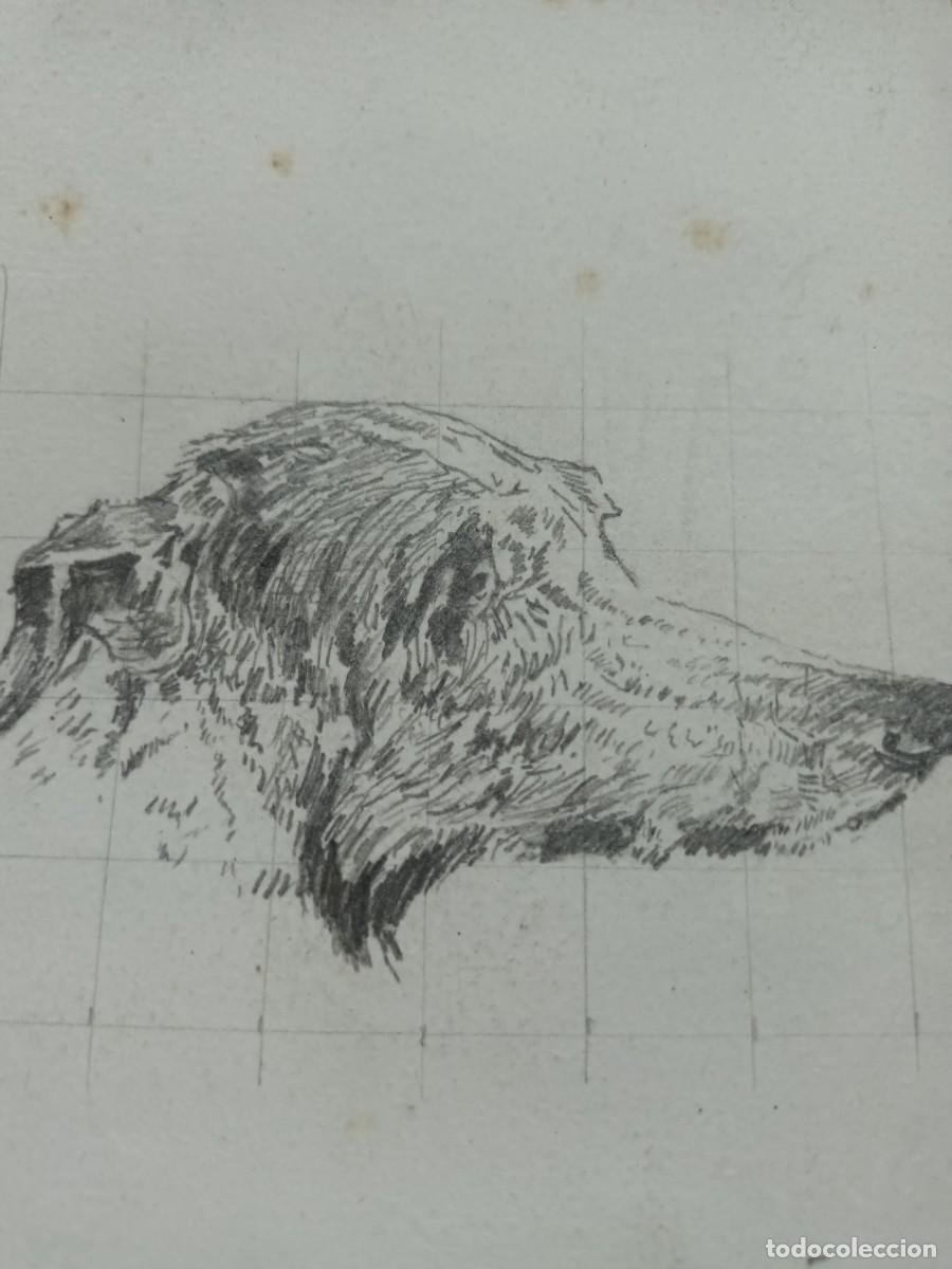 Postales: Dibujo a l&aacute;piz - Foto 1