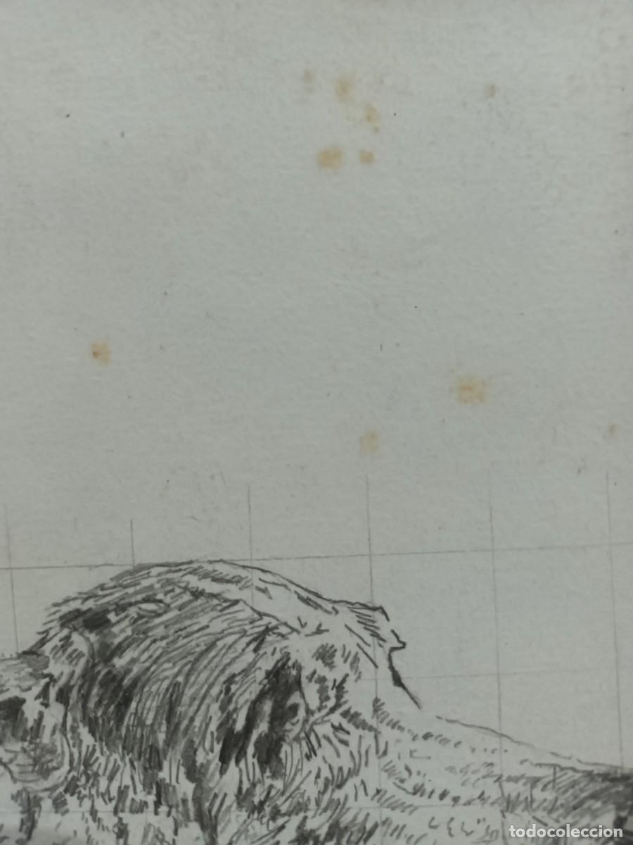 Postales: Dibujo a l&aacute;piz - Foto 2