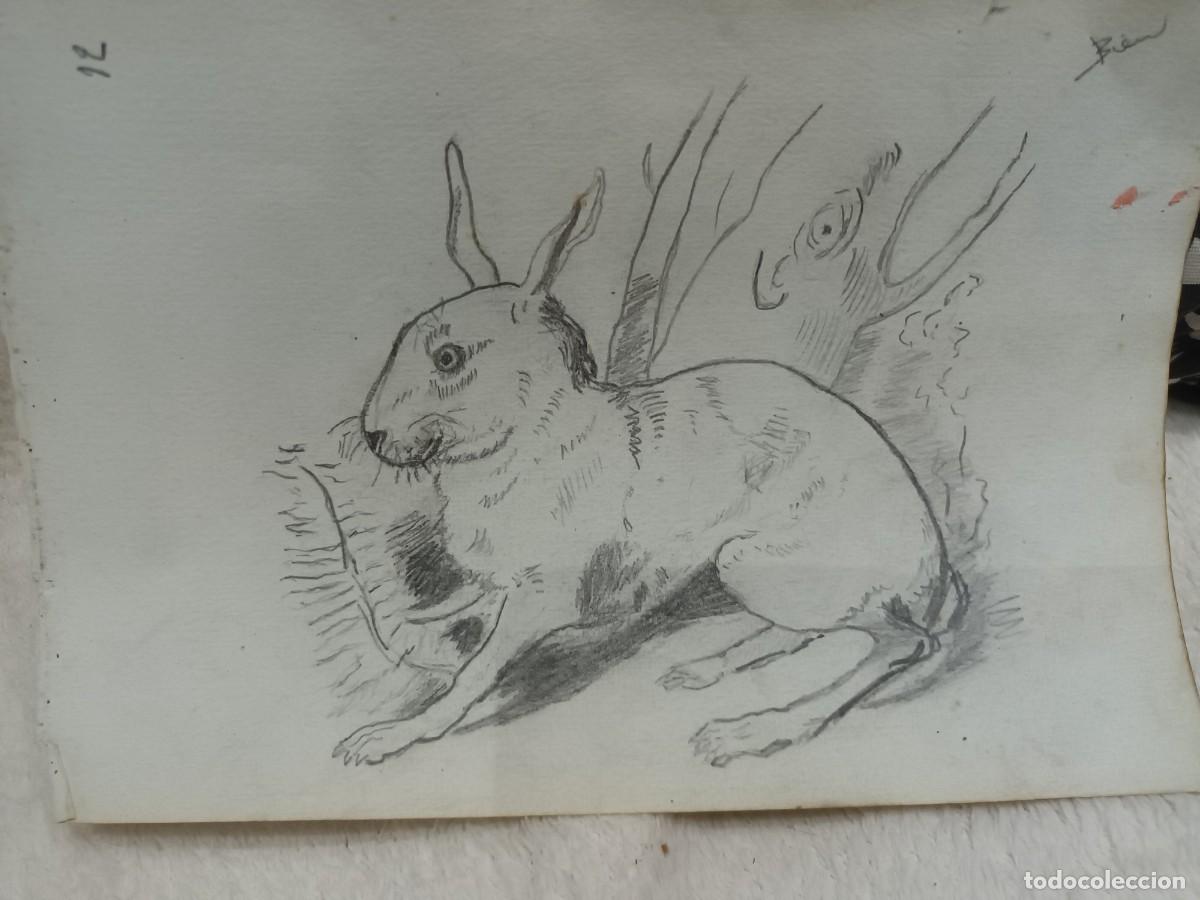 Postales: Dibujo a l&aacute;piz - Foto 1