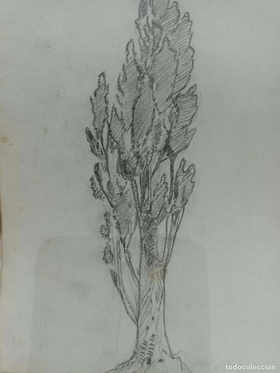 Postales: Dibujo a l&aacute;piz - Foto 1