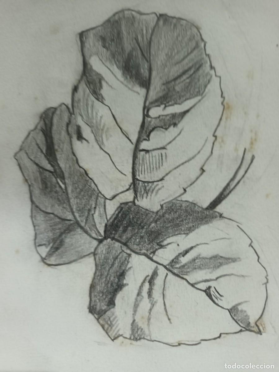 Postcards: Dibujo a l&aacute;piz de Se&ntilde;an
