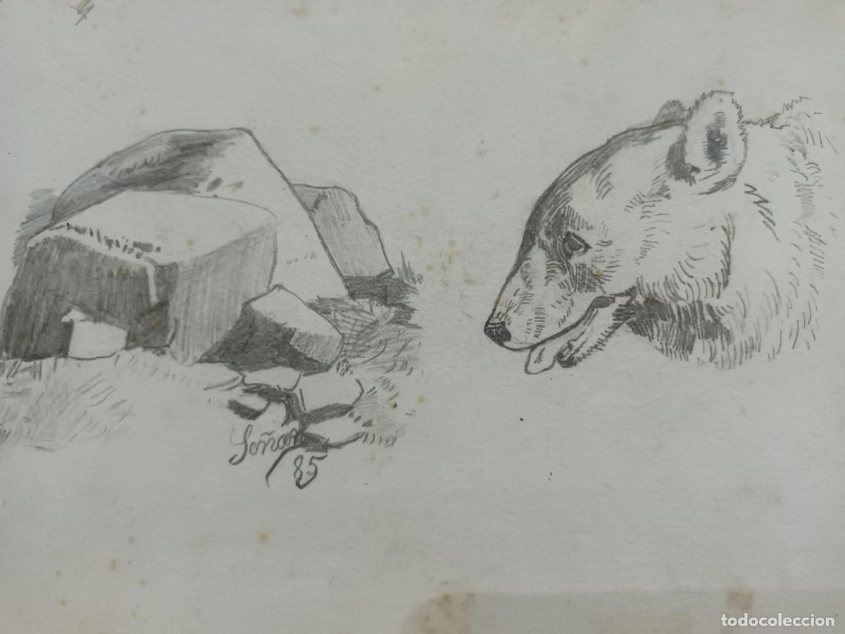 Postcards: Dibujo a l&aacute;piz de Se&ntilde;an