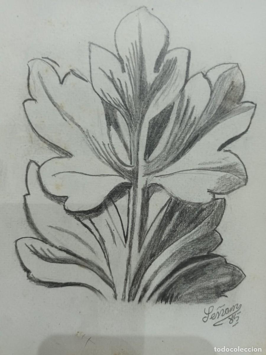 Postcards: Dibujo a l&aacute;piz de Se&ntilde;an