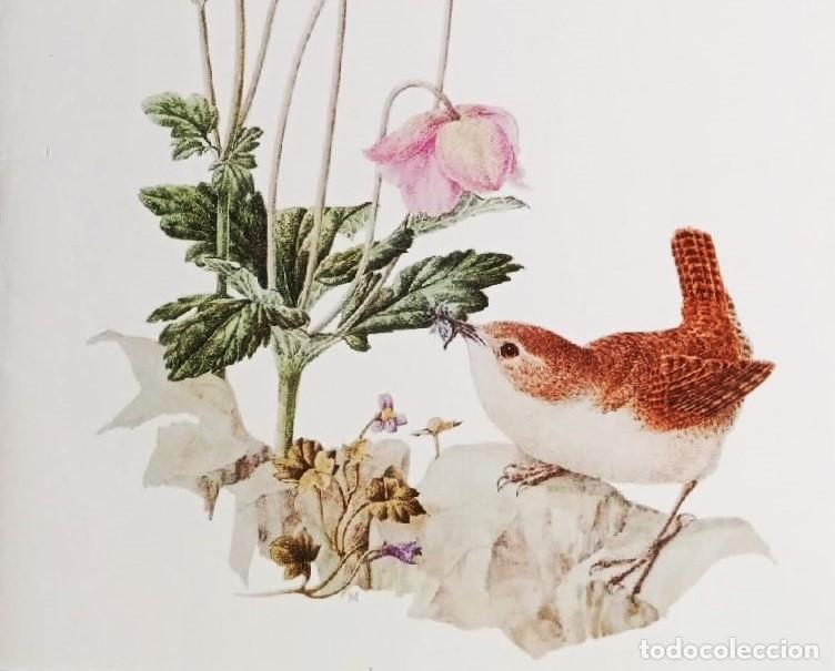 Cartoline: 6081R - ANEMONAS JAPONESAS - ILUSTRA MARIE ANGEL -EDIC CP N&ordm; CC19- DIPTICA 12,5X18 CM