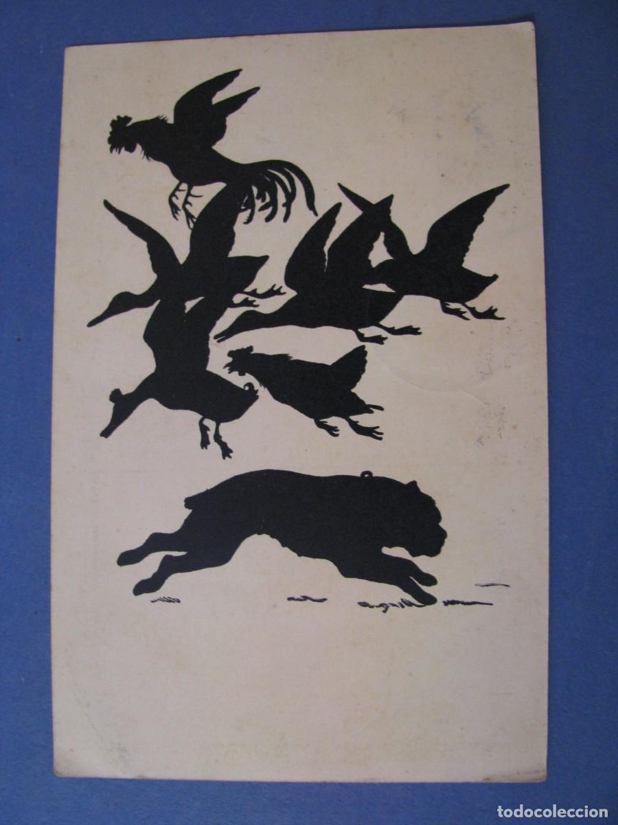 Postkarten: POSTAL DIBUJO SILUETAS DE ANIMALES. ALEMANIA, CIRCULADA 1912.