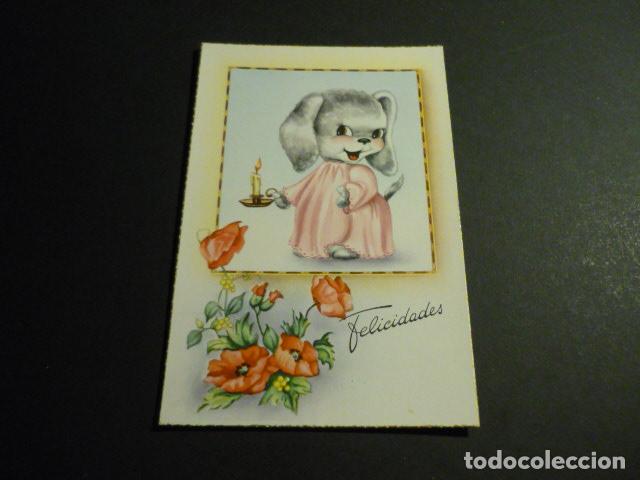 Postales: PERRO CON CAMISON Y PALMATORIA POSTAL ILUSTRADA