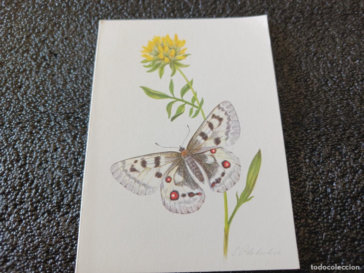 Cartoline: diptico projuventute, dibujo mariposa, s. plestcher, 11,5 x 8,5 cm