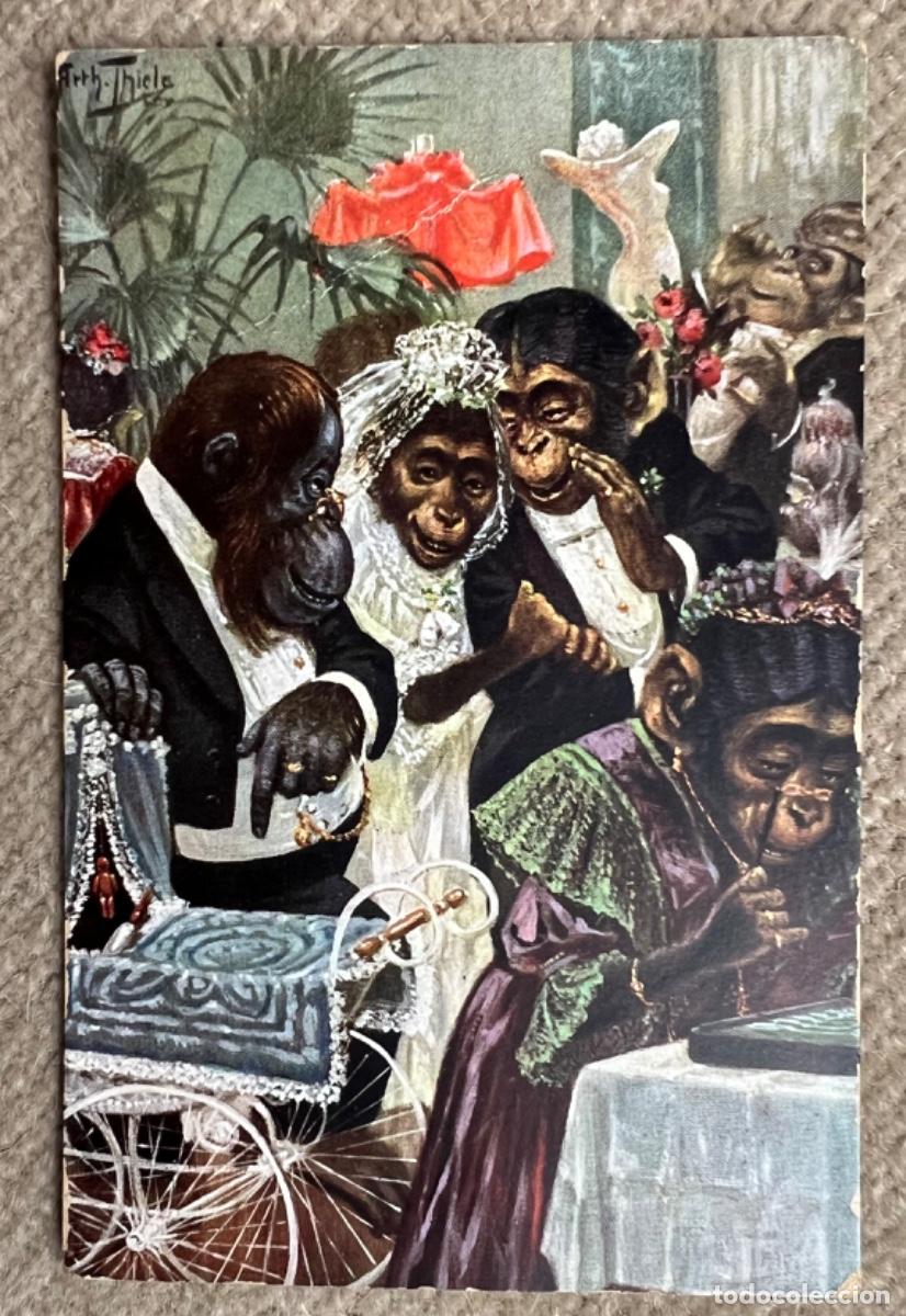 Postais: Antigua tarjeta postal humor&iacute;stica - Boda de monos