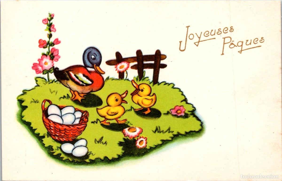 Postcards: Postal Felicitaci&oacute;n Francesa Joyeuses P&acirc;ques - Photochrom n&ordm; 264 - 140x90mm -Pollos-Pato-Huevos