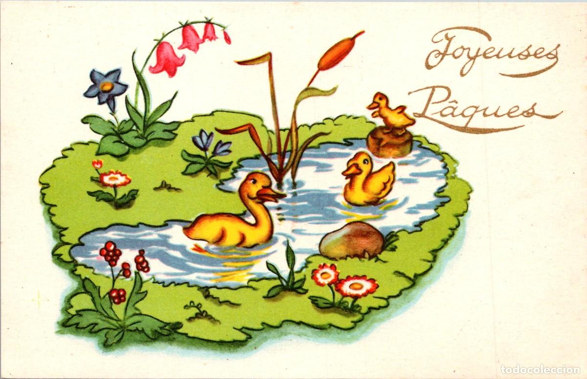 Postcards: Postal Felicitaci&oacute;n Francesa Joyeuses P&acirc;ques - Photochrom n&ordm; 264 - 140x90mm -Pollos-Patos