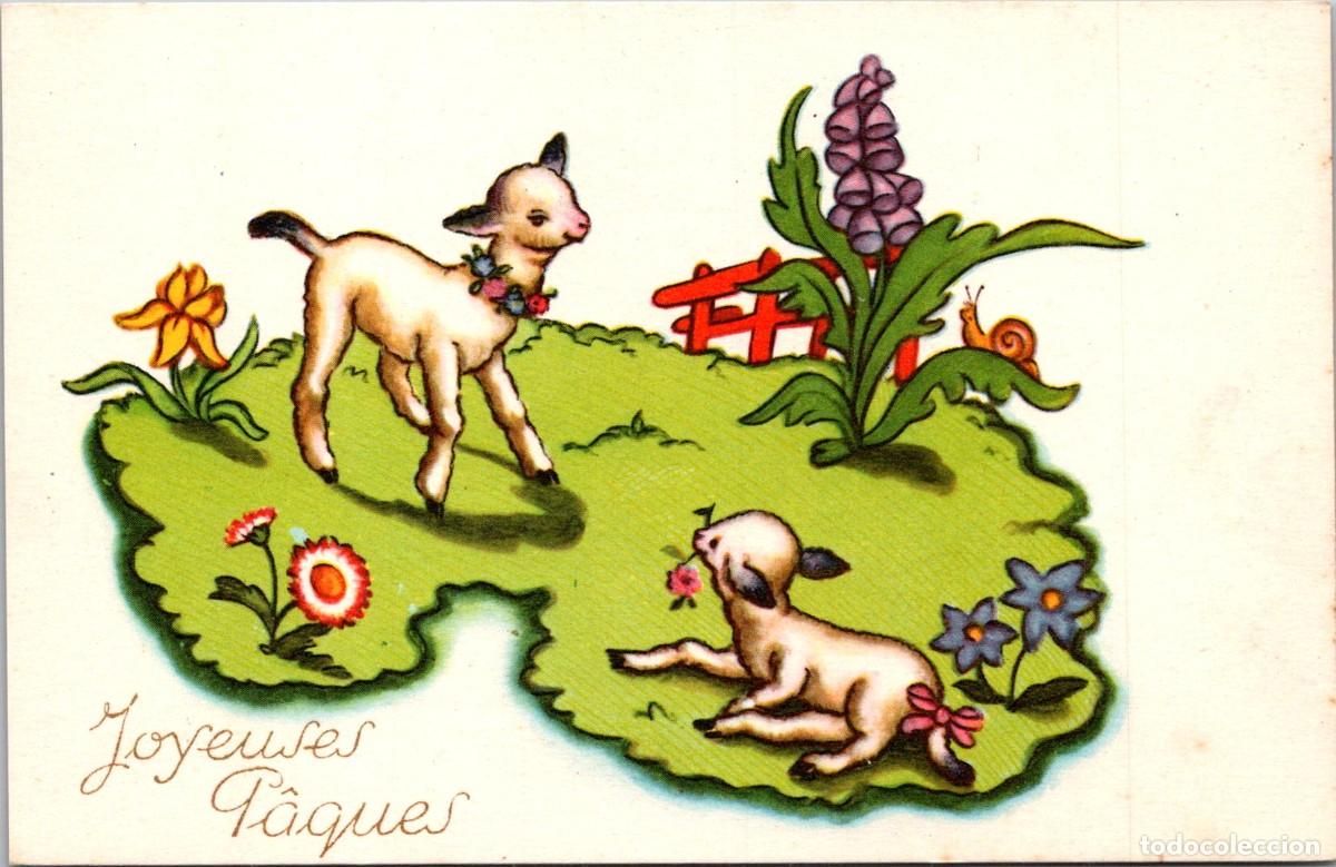 Postcards: Postal Felicitaci&oacute;n Francesa Joyeuses P&acirc;ques - Photochrom n&ordm; 264 - 140x90mm -Corderos