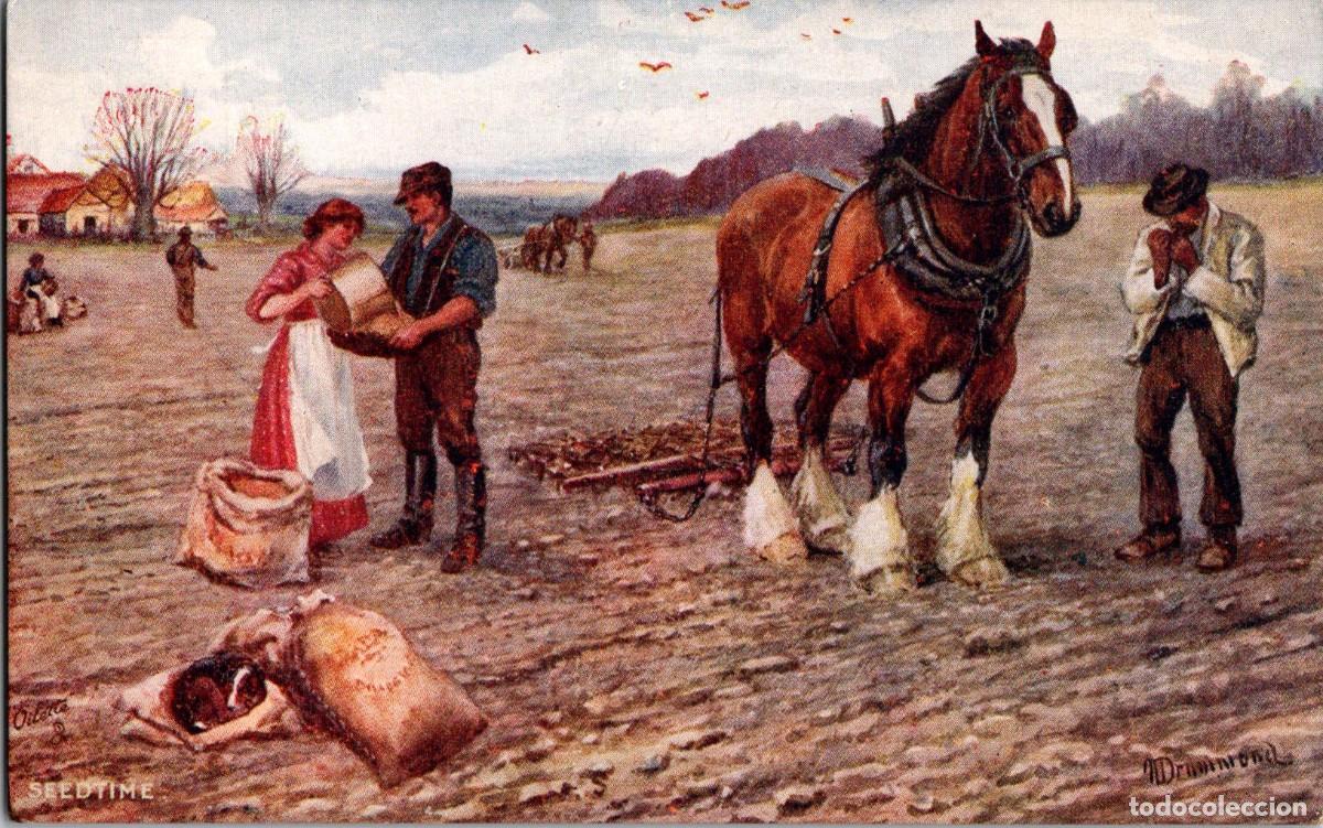 Postkarten: Oilette - Rural Life - Seedtime - n&ordm; 9514- 137x87mm - Caballo