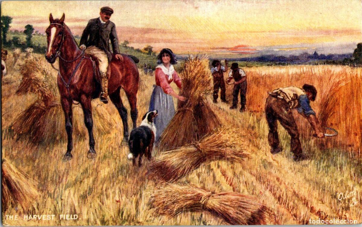 Postkarten: Oilette - Rural Life - The Harvest Field - n&ordm; 9514- 137x87mm - Caballo
