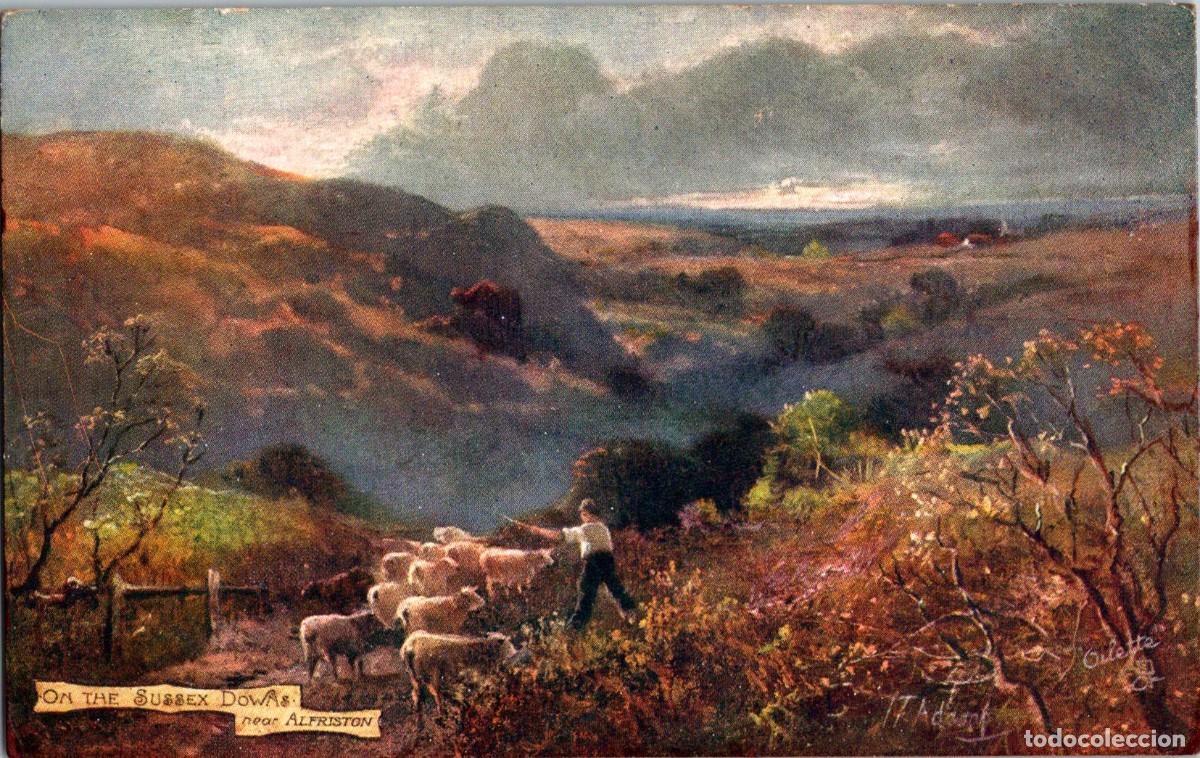 Postkarten: Oilette - Picturesque Counties - Sussex - Alfriston - n&ordm; 7409- 140x88mm - Reba&ntilde;o de Ovejas