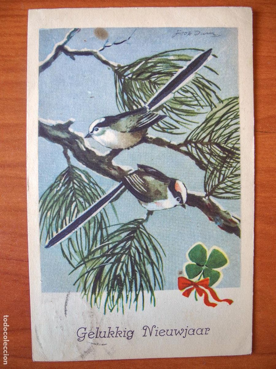 Cartes Postales: Pajaritos p&aacute;jaros circulada con sello 1953 9x14