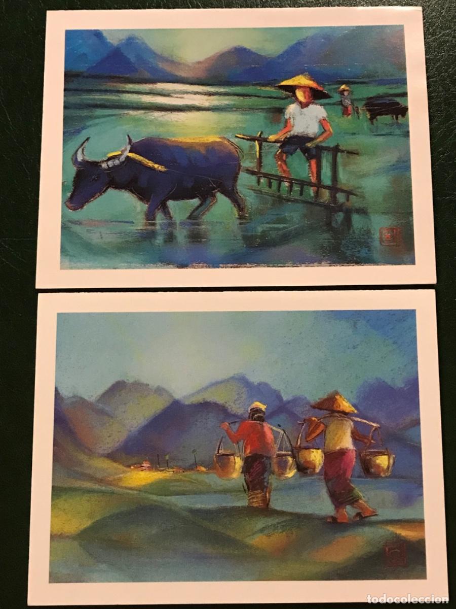 Cartes Postales: 5 Postales de Francia Dibujos