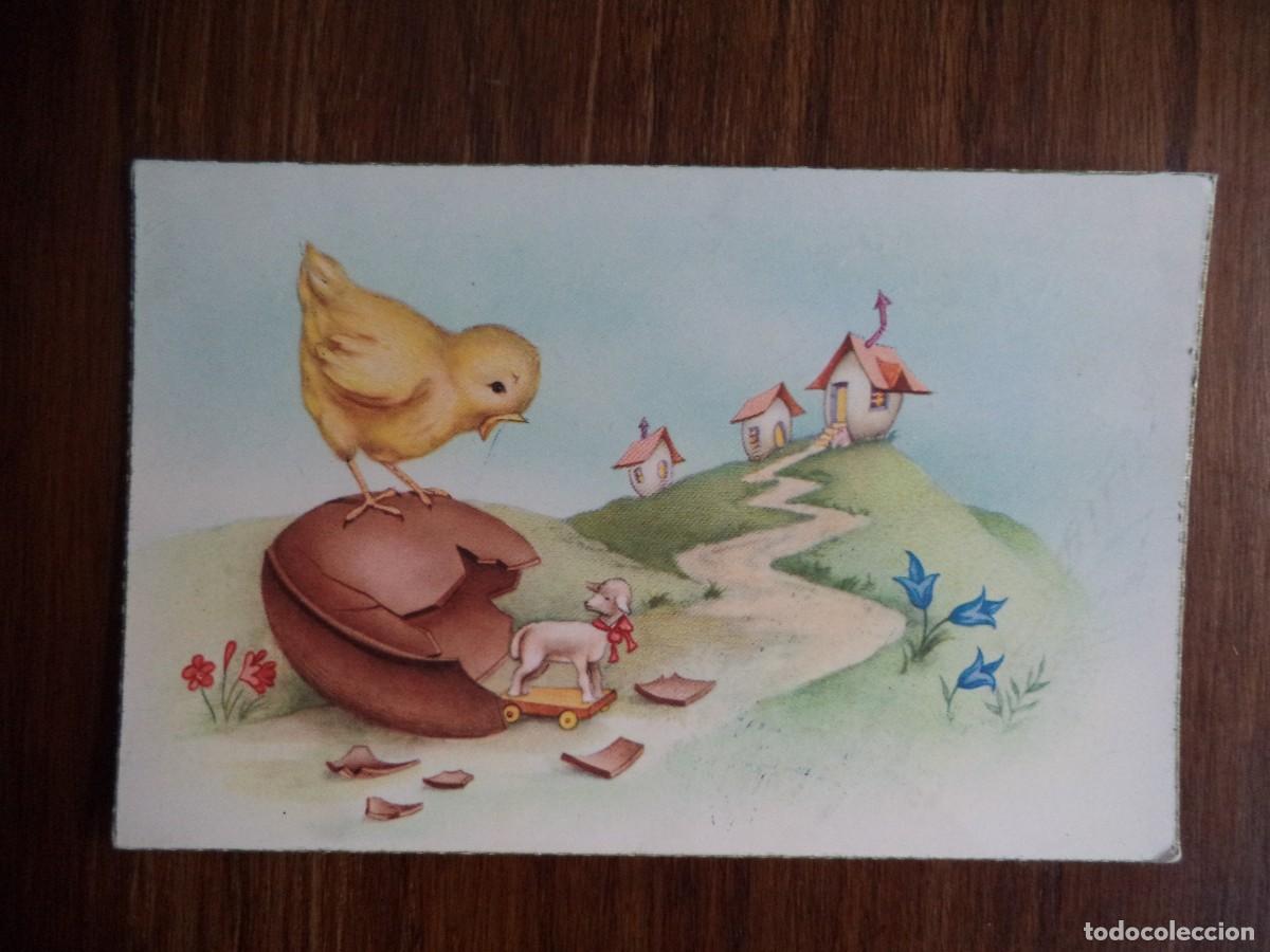 Postais: Postal dibujada,pollito