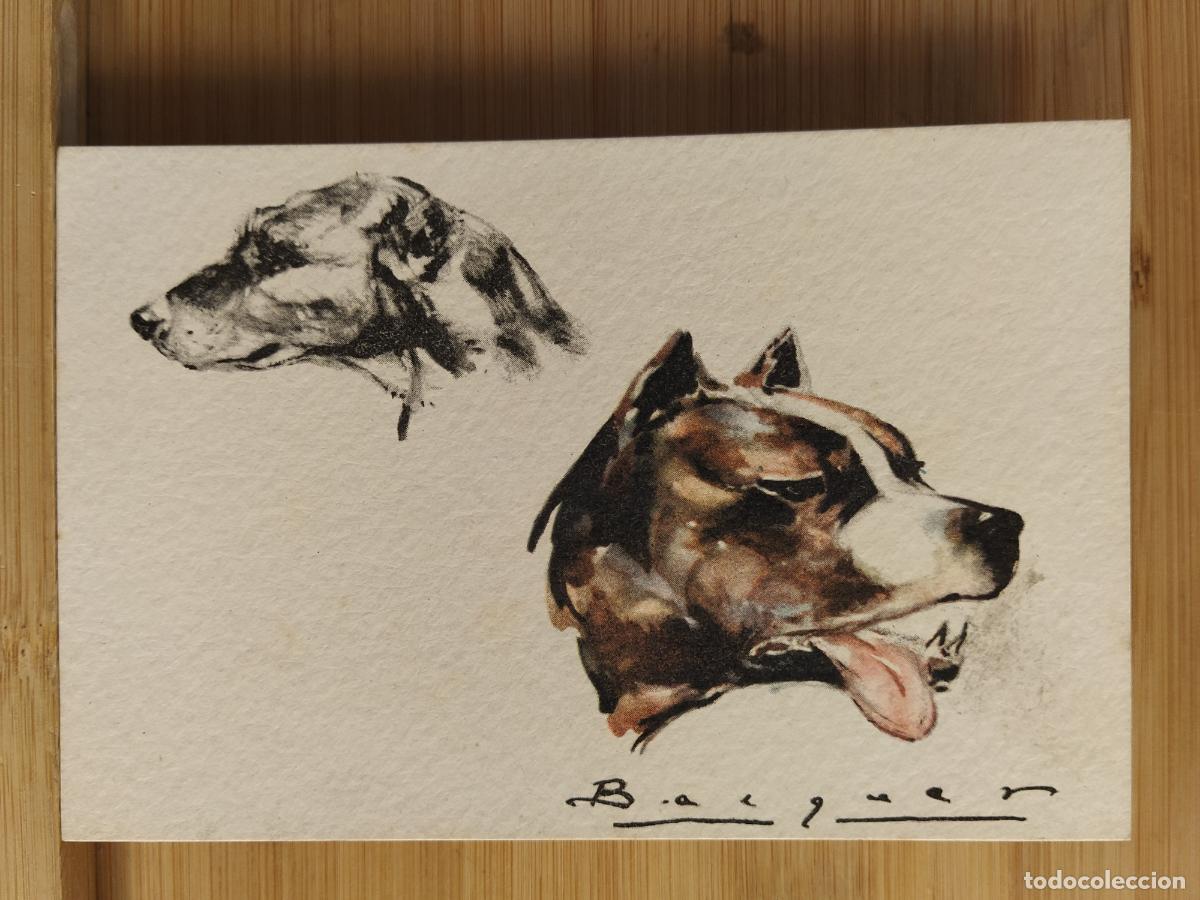 Postcards: PERROS - ILUSTRADA POR BECQUER -POSTAL ANTIGUA-(109.305)