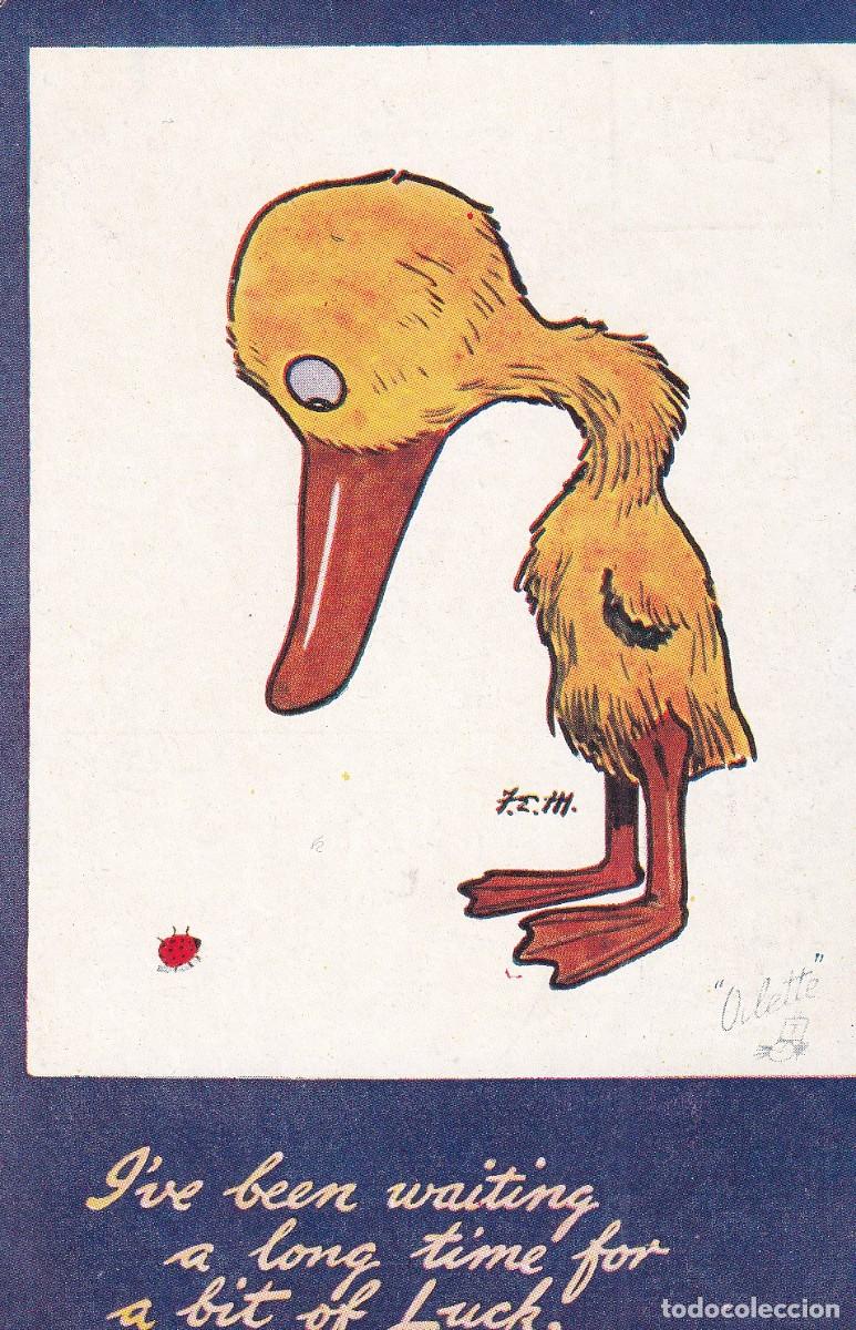 Postais: Postal ilustrada por Oilette. Ilustrador ingles. Patito observando una mariquita.