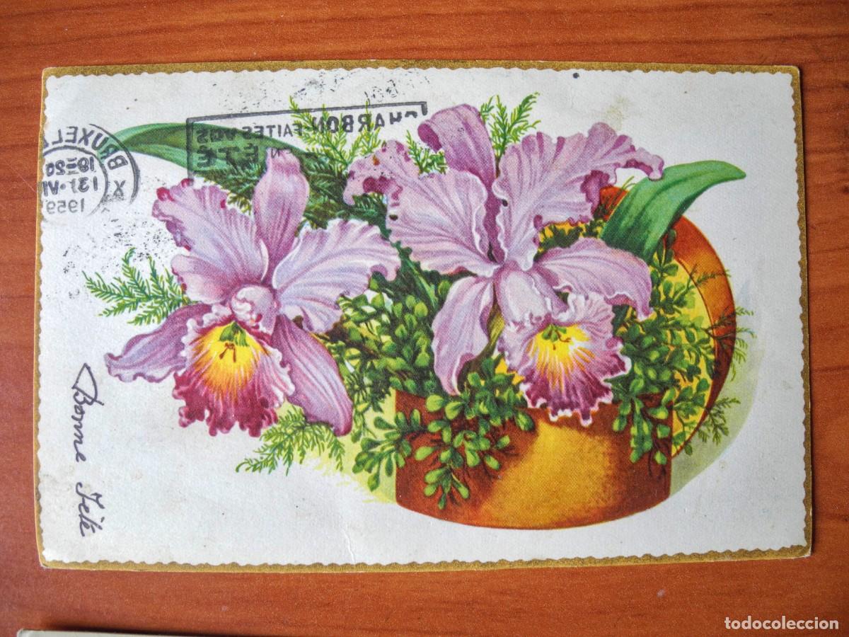 Postais: Postal. Flores. Orqu&iacute;deas. Circulada 1948 14x9