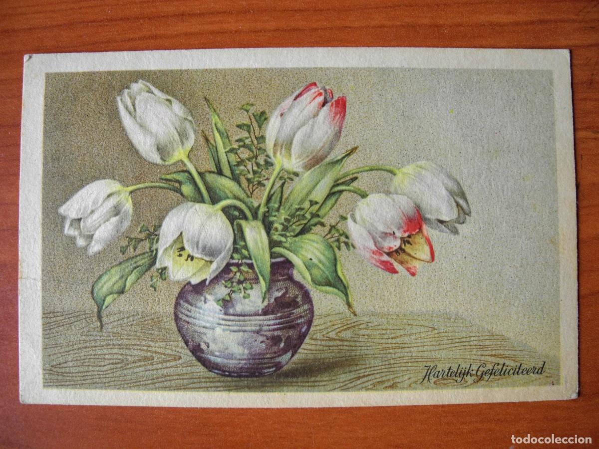 Postais: Antigua postal. Flores. Tulipanes. Circulada con sello 14x9