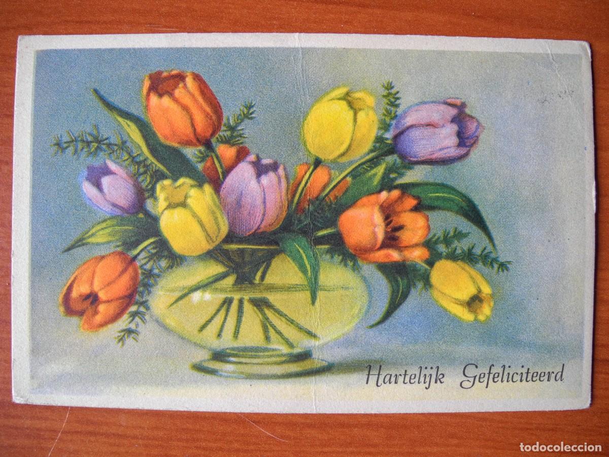 Postais: Postal. Flores. Tulipanes. Circulada con sello 1950 14x9