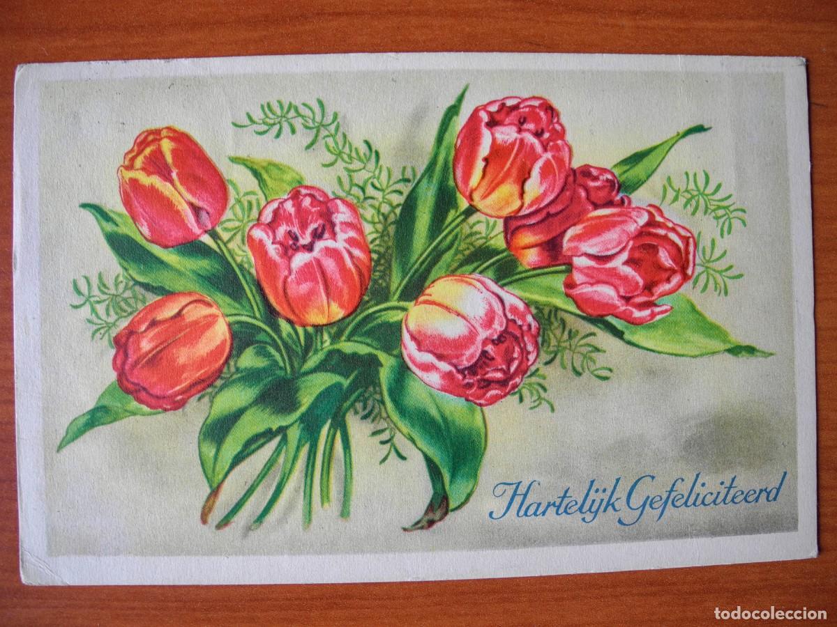 Postais: Postal. Flores. Tulipanes. Circulada con sello 14x9