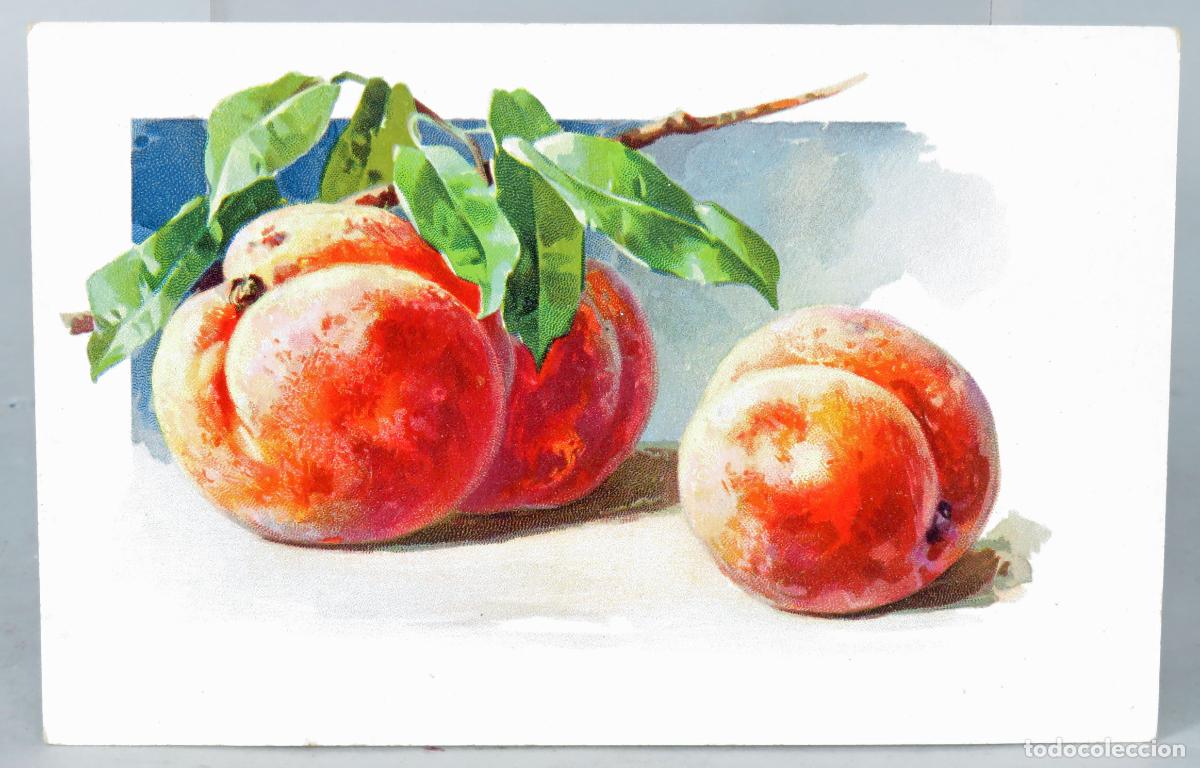 Postais: Postal alemana Melocotones cromolitograf&iacute;a M&L Serie 180 a&ntilde;os 20 sin circular