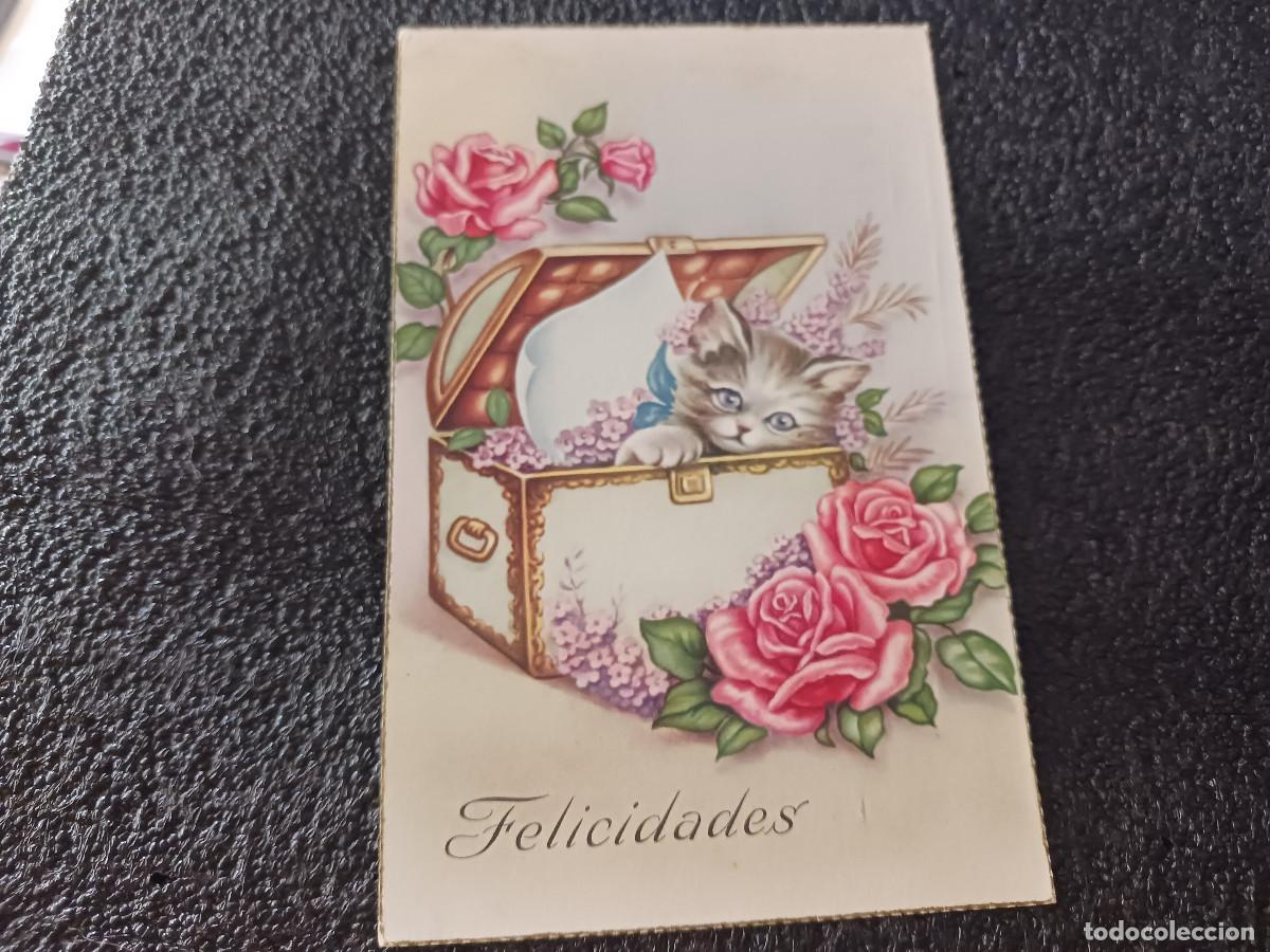 Postais: cyz 566, gato baul y rosas, circulada 1958