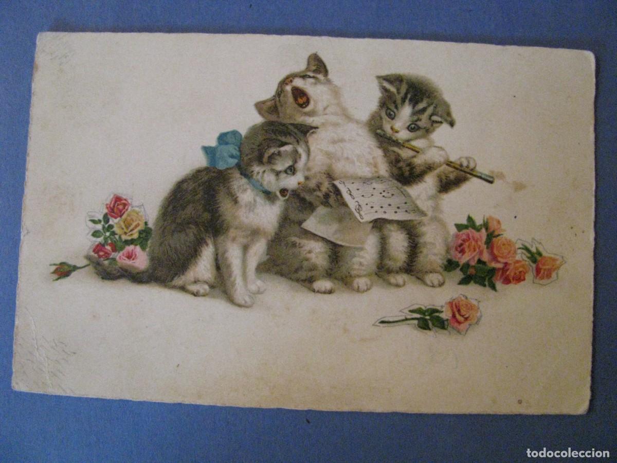 Cartes Postales: ANTIGUA POSTAL DIBUJO GATOS. PITTIUS 812. ALEMANIA. ESCRITA 1948.