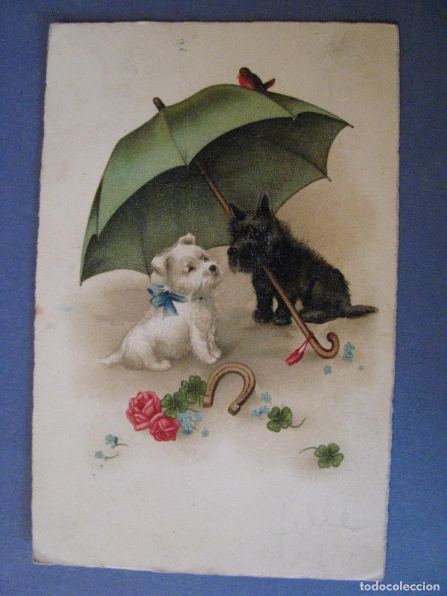 Cartes Postales: ANTIGUA POSTAL DIBUJO PERROS CON PARAGUAS. PITTIUS 997. ALEMANIA. ESCRITA 1944.