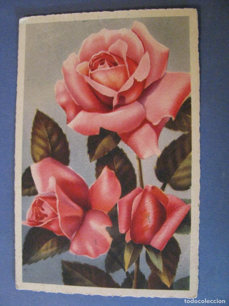 Cartes Postales: ANTIGUA POSTAL DIBUJO. FLORES. ED. M.D. FRANCIA.