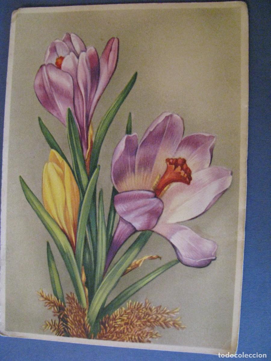 Postais: ANTIGUA POSTAL DIBUJO. FLORES. BELGICA. 1949.